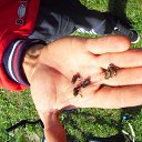 ���� ������, �����-���������, 53 ���� - ��������� 3 ������ 2014 � ������ �������