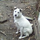 ���� �������, ����, 46 ��� - ��������� 11 ������� 2013 � ������ ���� ����������