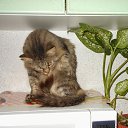 �������... �� ������� ���� ���� � ������ ��������