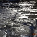 ������ ����� ������...... �� ������� ������ ��������