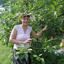 ���� ���������, ���� - ��������� 7 �������� 2013 � ������ ���� ����������