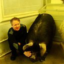 ���� ������, ������, 65 ��� - ��������� 14 ������ 2014 � ������ ���� ����������