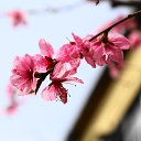 ���� ������, �����-���������, 61 ��� - ��������� 31 ������� 2013 � ������ ������� ������ 2013�