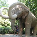 �������) �� ������� ���� ����������