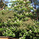 ��� ������ ������� �� ������� ���� ����������