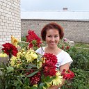 ���� ������� �������������, ����������� - ��������� 21 �������� 2013 � ������ ���� ����������