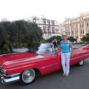 ���� �����, �����, 65 ��� - ��������� 31 ������� 2013 � ������ ���� ����������