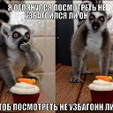 ���� ������, ������, 35 ��� - ��������� 15 ������ 2013 � ������ ���� ����������