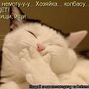 ���� K�����, ������, 45 ��� - ��������� 20 ������� 2013 � ������ ���� ����������