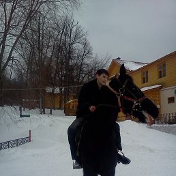 Enterceptr, ���������, 40 ���