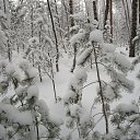 ������ ��� �� ������� ����� ��� ������������