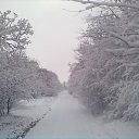 ���� �����, �������, 39 ��� - ��������� 14 ������� 2013
