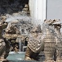 ���� �����, ���������� �����, 47 ��� - ��������� 15 ������� 2013 � ������ ���� ����������