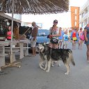 ���� ������, �����, 38 ��� - ��������� 4 �������� 2013 � ������ ���� ����������