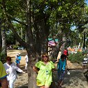 ���� �������� �������, ������, 44 ���� - ��������� 8 ������� 2013