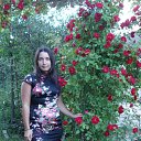 ���� �����, ������ �������� - ��������� 25 ������ 2013 � ������ ���� ����������