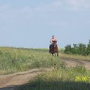 ���� �����, ���������, 41 ��� - ��������� 15 �������� 2013 � ������ ���� ����������