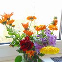 ������ ��������. �� ������� ��� ����.�