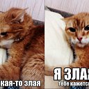 ���� ����, ������, 53 ���� - ��������� 24 ������ 2014 � ������ ���� ����������