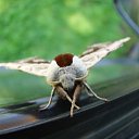 ������� �� ������� ���� ����������