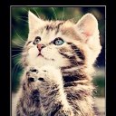 ���� ������, �������, 54 ���� - ��������� 16 ������� 2014 � ������ ���� ����������