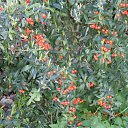 ���� �������, ������ - ��������� 19 ������� 2014 � ������ ��������˻