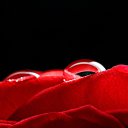 ���� Asssssssssollllllll, ����������� - ��������� 25 ������ 2014 � ������ ���� ����������