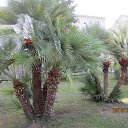 ���� �������, ���������, 56 ��� - ��������� 26 ������� 2013 � ������ ���� ����������