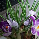 ���� ����, �����-���������, 57 ��� - ��������� 11 ����� 2014 � ������ ���� ����������