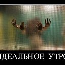 ���� �����, ��������� - ��������� 8 ������� 2013 � ������ ���� ����������