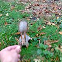 �������� ��������))))))) �� ������� ���� ����������