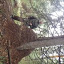 ���� Vladimir, ������, 58 ��� - ��������� 18 �������� 2013 � ������ ���� ����������