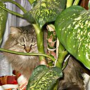 �������... �� ������� ���� ���� � ������ ��������