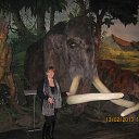 ���� ������, �����-��������� - ��������� 6 ������ 2014 � ������ ���� ����������