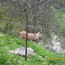 ���� Mihail, ����, 63 ���� - ��������� 11 ������ 2013 � ������ ���� ����������