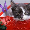 ���� Hadice, ������, 42 ���� - ��������� 25 ������� 2014 � ������ �������