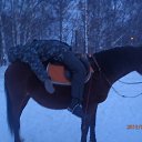 ���� ����������, ������, 35 ��� - ��������� 2 ������� 2013 � ������ ���� ����������