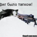 ���� ����������, ������, 48 ��� - ��������� 7 ������� 2013 � ������ �����������