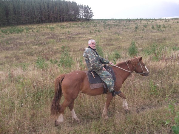 Нурмухамедов ревную. Нурмухамедов Акылжан.