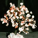 ���������� ������ �� ������� ���� ��������߻