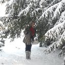 ���� ������, ������ - ��������� 8 ������� 2013 � ������ ���� ����������