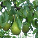 ����� . �� ������� ���� ����.�