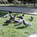 ������. �� ������� ���� ����������