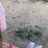 ������� � ���������� ���������� - http://vk.com/app2175066