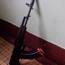 ���� ����, ������, 61 ��� - ��������� 8 ������ 2014 � ������ ���� ����������