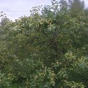 ���� �������, ������, 70 ��� - ��������� 17 ������� 2013 � ������ ���� ����������