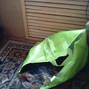 ���� �����, ��������� - ��������� 8 �������� 2013 � ������ ���� ��������