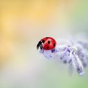 ���� ����, �������� - ��������� 4 �������� 2013 � ������ ��������, �����������