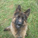 ���� �����, ������ ��������, 51 ��� - ��������� 25 �������� 2013