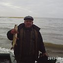 ���� ������, ������, 52 ���� - ��������� 8 ������ 2014 � ������ ���� ����������